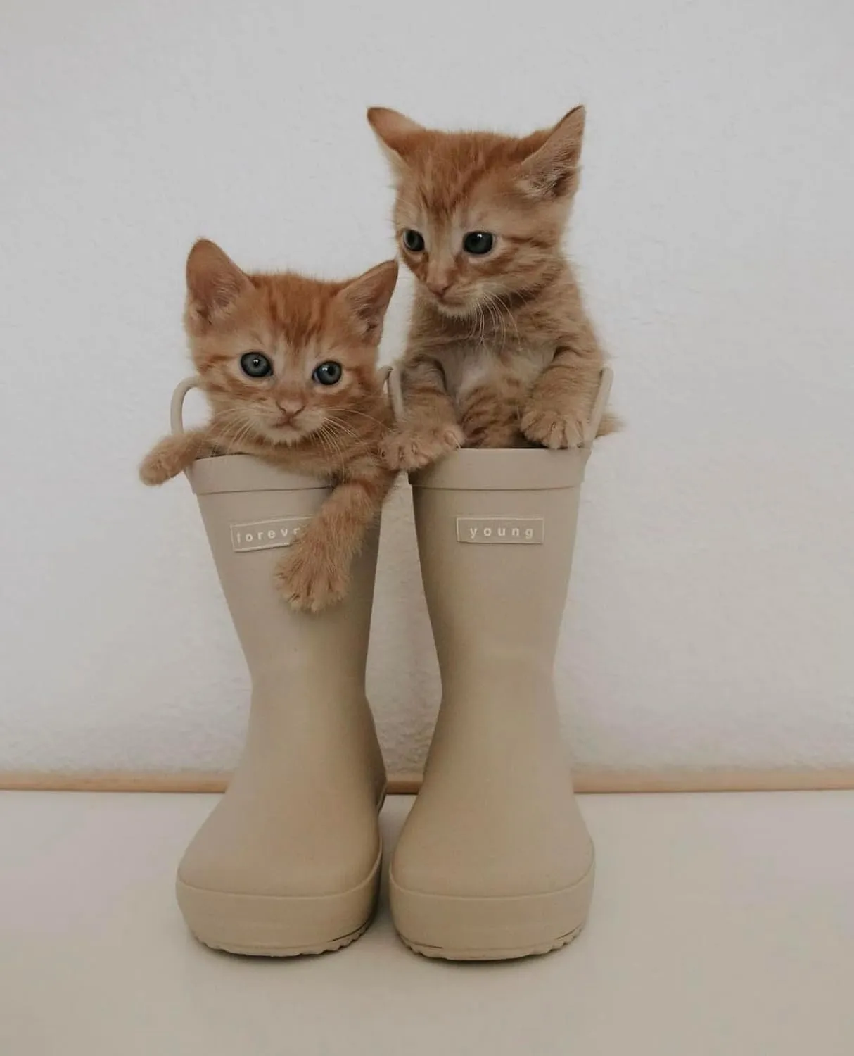 Puddle Buddies Toddler and Kid Rain Boot Muddies | Puddle Buddy Muddy Toddler Kid Rain and Mud boots