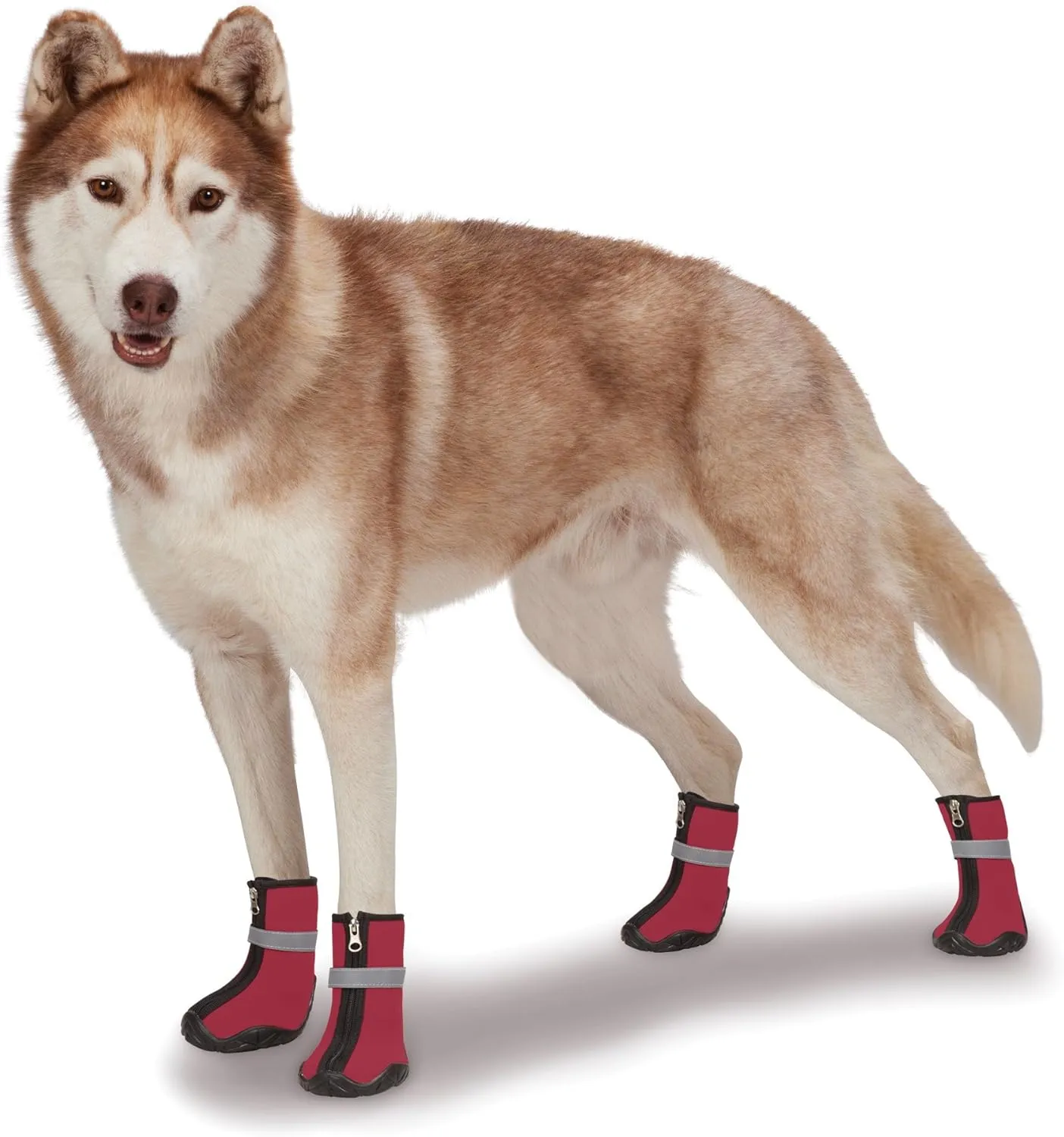 Zack & Zoey ThermaPet Neoprene Boots, Blue, Large